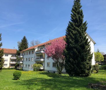 2 Zimmer, 48 m², EG - Photo 5