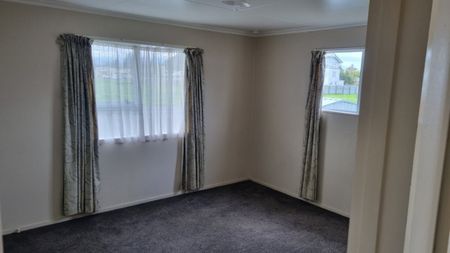 147A Denbigh Street, Feilding, Manawatu - Photo 2