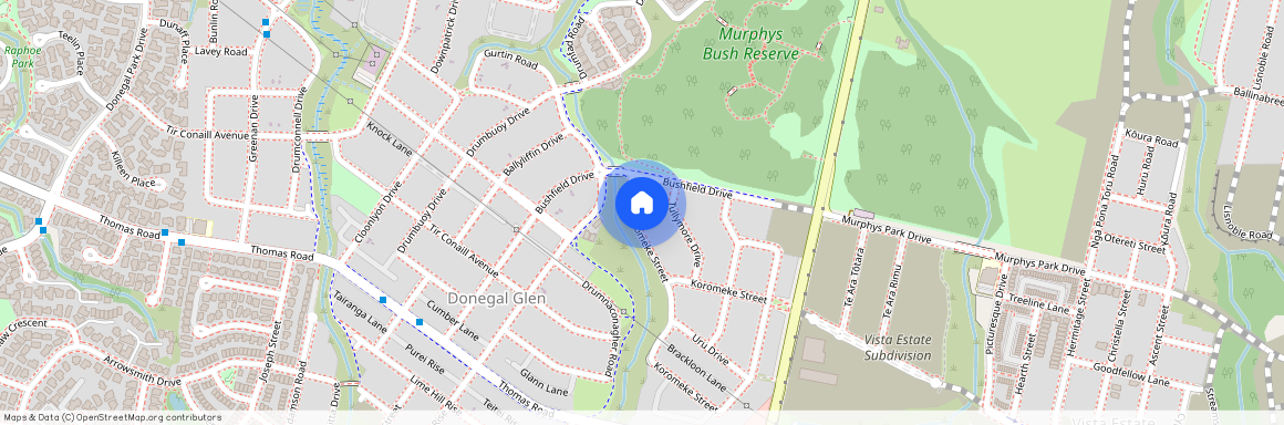 8 Koromeke Street, Flat Bush, Manukau City