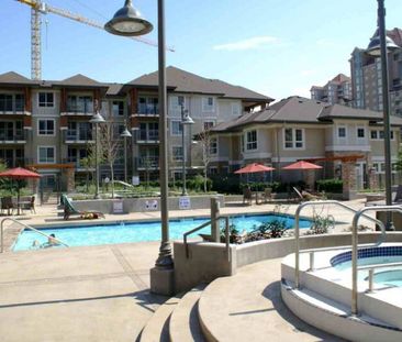 2bed 2bath Condo; Osprey 2 – Available September 1 - Photo 5