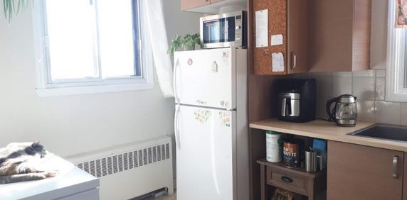 Grand et calme 4 ½ lumineux au 3e étage - AOÛT 2025 - Photo 2