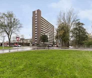Apartment Alkmaar - Judith Leysterstraat - Photo 1