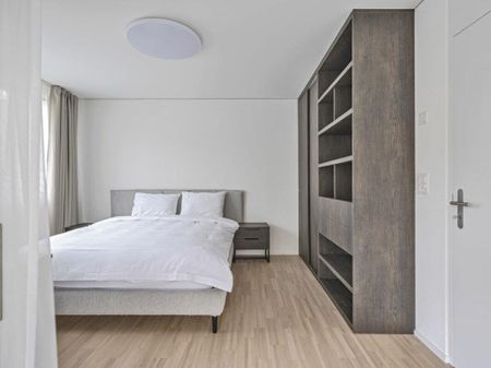 Vollmöbliertes SUPERIOR Apartment - 52 m2 Kopie - Photo 5