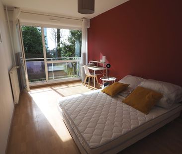 Chambre en colocation - Nantes - Location Appartement nantes : 102.... - Photo 5