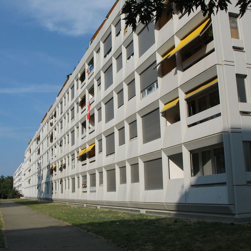 Prenez de la hauteur à Meyrin - Foto 1