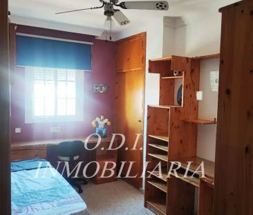 La Línea De La Concepción - Foto 5