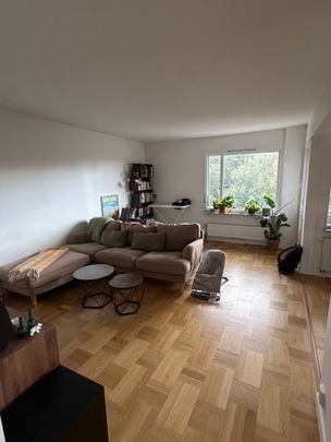 Karl Gustavsgatan, Göteborg - Foto 1