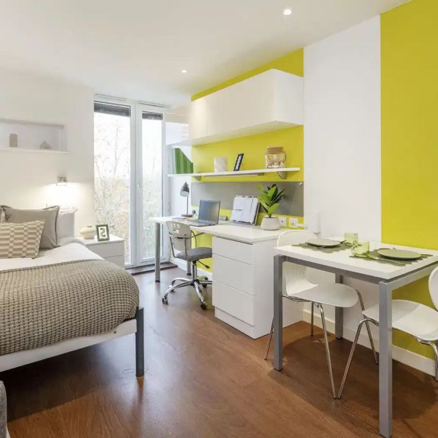 Standard Studio Gold Plus - Photo 1