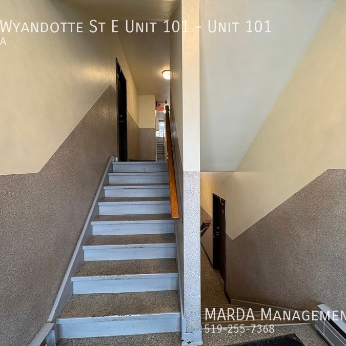 NEWLY RENOVATED 1-BEDROOM/1-BATH APARTMENT + HYDRO - Photo 1