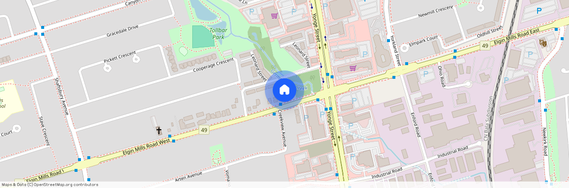 50 Elgin Mills Road Unit# Basement, Richmond Hill