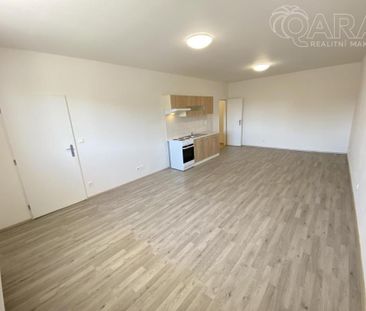 Pronájem bytu 1+kk 46 m2 - Fotografie 2