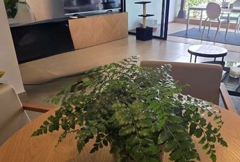 Casa o chalet de alquiler en Calle Hermano Pedro, 30, Aldea Blanca - Las Zocas