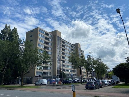 Te huur: Appartement Bachstraat in Leiden - Foto 2