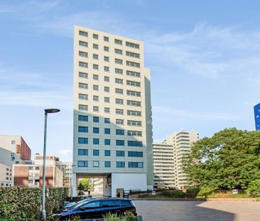 3 bedroom apartment to rent - Photo 5