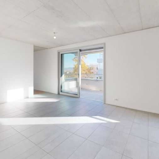 2.5-Zimmer Neubau-Erstbezug am Fusse des Uetlibergs - Photo 1