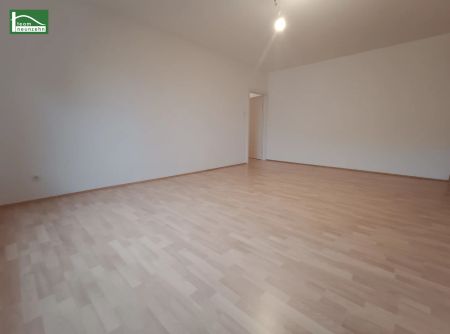 Ruhige, unbefristete 3-Zimmer-Wohnung nahe der Altstadt! - Foto 4