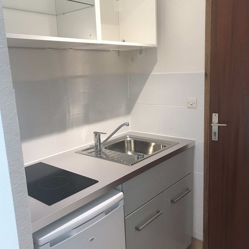 Location Appartement 1 pièce 19m² ST MARTIN D HERES 38400 - Photo 1