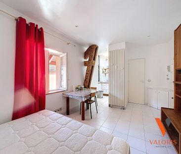 Location Appartement 1 pièce 19m² GRENOBLE 38000 - Photo 6