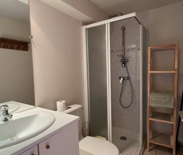 Location Appartement 1 pièce 14m² JACOB BELLECOMBETTE 73000 - Photo 6