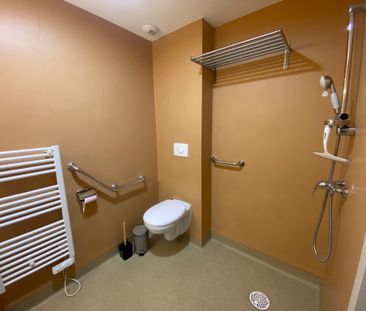 Location Appartement 1 pièce 18m² LYON 8ème - Photo 2