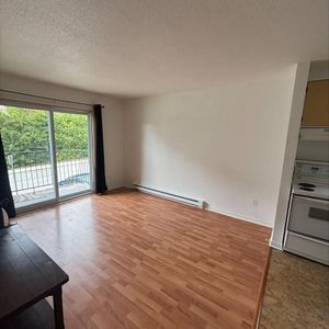 1 CH - 1 SDB - Sherbrooke - $980 /mo - Photo 2
