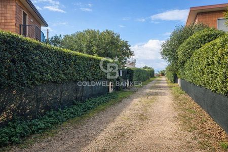 Appartamento in Affitto a Tarquinia – Zona: Lido di Tarquinia - Foto 4