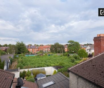 Attic room to rent in 5-bedroom house in Rathgar, Dublin - Photo 3