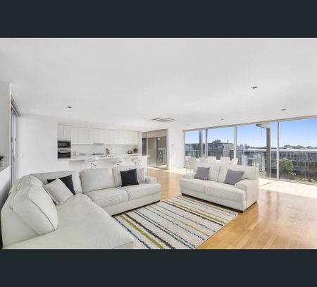 302/100 The Esplanade, Torquay, Vic 3228 - Photo 3