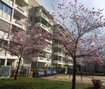 Komfortabel wohnen: Separate Abstellkammer und helle Küche mit Fens... - Photo 1