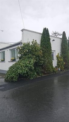 56 Ardigon Road, Killyleagh - Photo 1