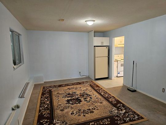 Ground Level Suite - Photo 1