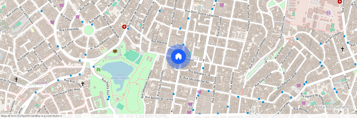Avenida Lacerda Franco - até 1220/1221, Cambuci, São Paulo, SP, 01536000
