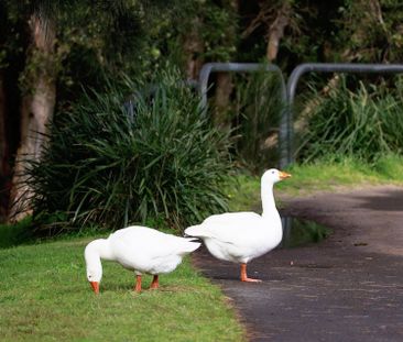 2/4 Tupia Street, Botany NSW 2019 - Apartment For Rent | Domain - Photo 5