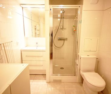 Location Appartement 1 pièce 24m² - Photo 3