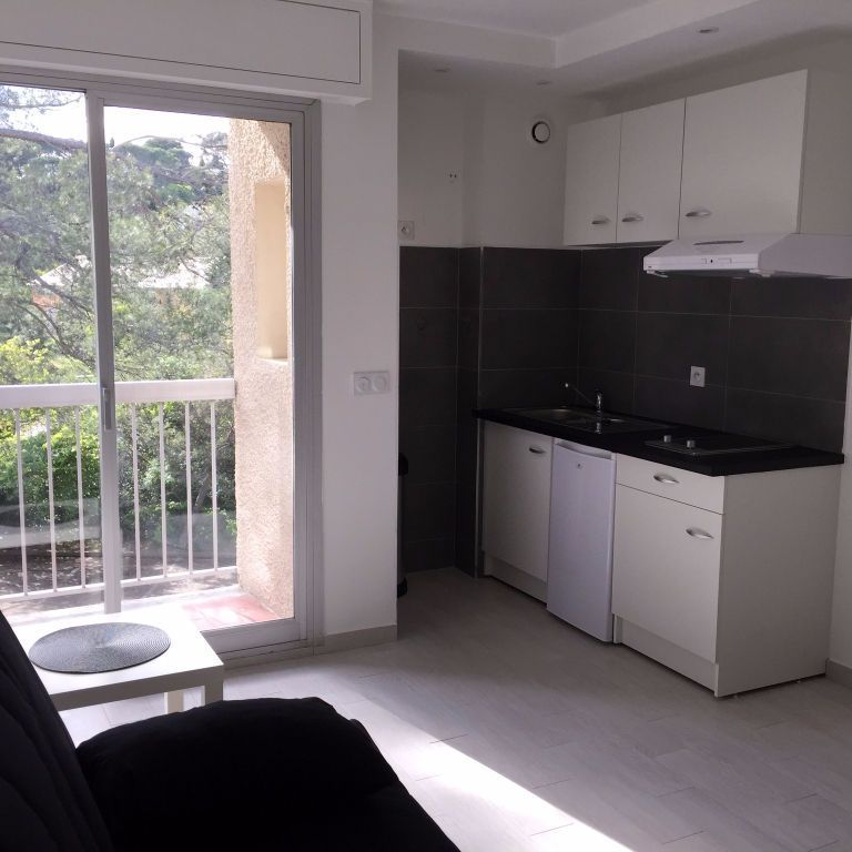 Location Appartement 1 pièce 19m² - Photo 1