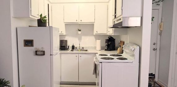 1 CH - 1 SDB - Montréal - $1,192 /mo - Photo 2