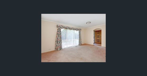 Quiet Location with Space to Play! - Photo 1