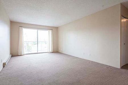 Mayfair Manor Apartments - 1 Bedroom - Photo 3