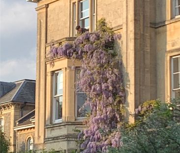Student Properties to Let - Photo 2