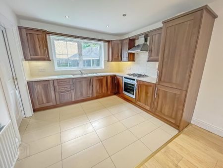6 Ayrshire Lane, Lisburn, BT28 2UW - Photo 4