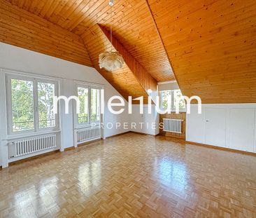 Master villa in the heart of the Geneva countryside. - Photo 5