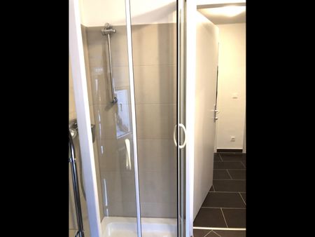 geräumige Kleinwohnung - Photo 3