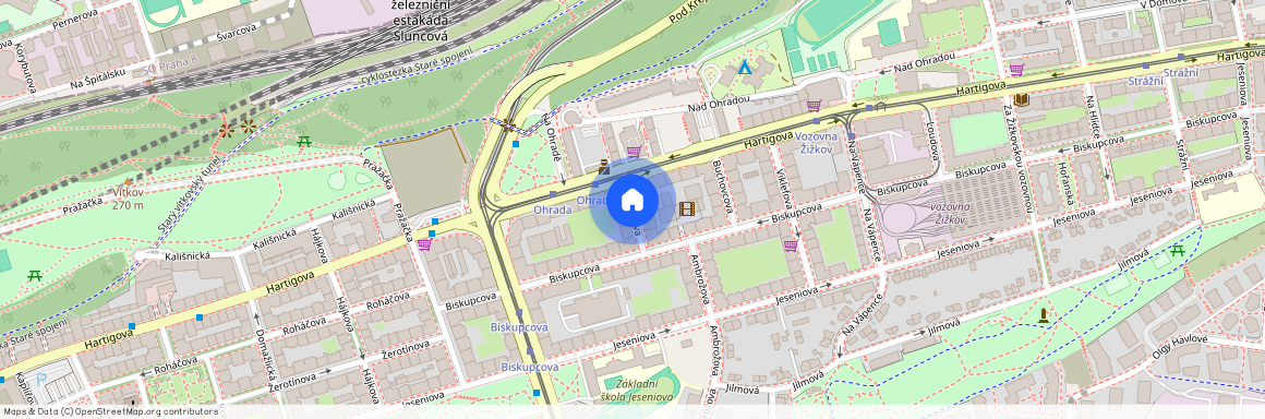 Rečkova, Praha - Žižkov