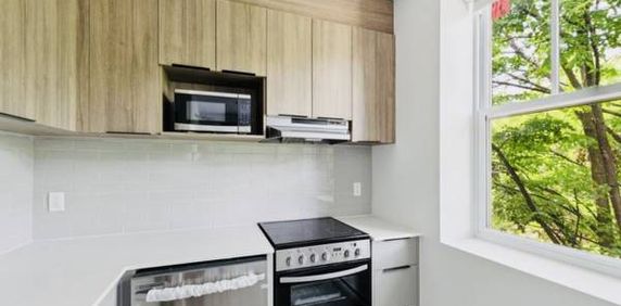 New Studios Downtown Montreal ** Brand New Construction ** - Photo 2