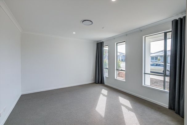 Large Modern Family Home with Spacious Backyard! - Photo 1