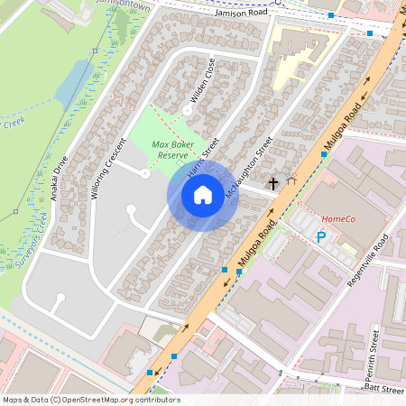 55 Mcnaughton Street, Jamisontown