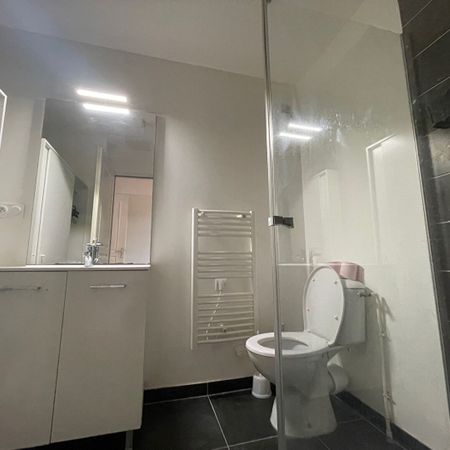 Location Appartement 1 pièce 40m² - Photo 4