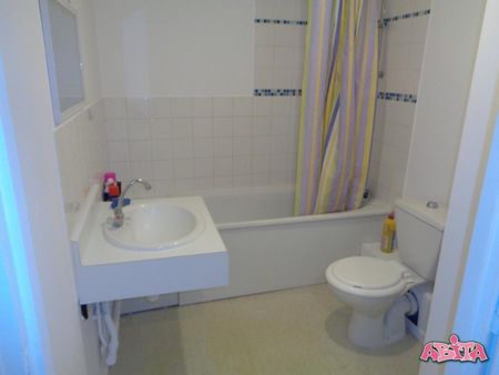 Appartement 1 pièce à Lille - Photo 4