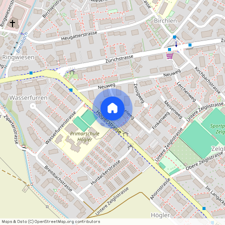 Höglerstr, 13, 8600 Dübendorf