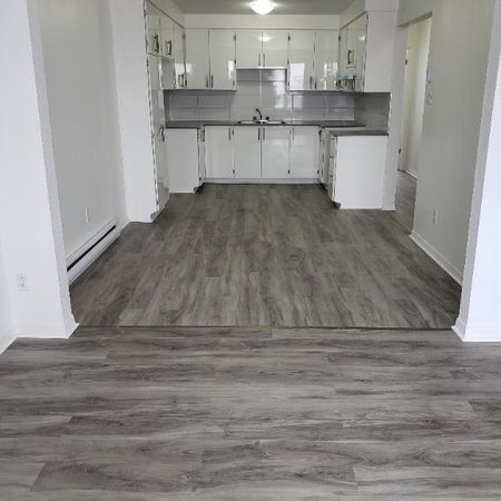 Grand 3 ½ Entierement Rénovés Montreal (Rivière des Prairies) - Photo 3